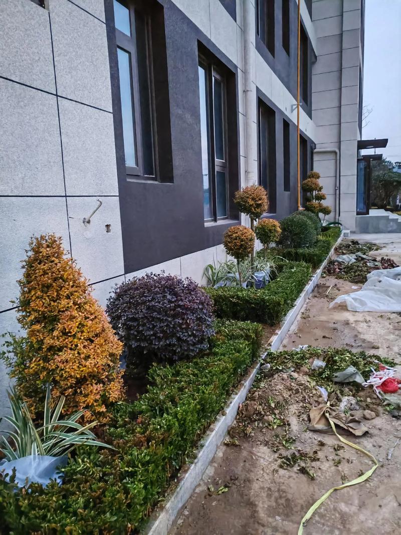 绿色发展的风向标：绿化工程公司的使命与担当