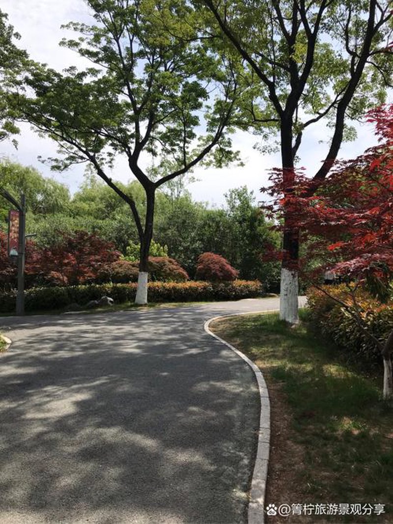 盐城园林绿化