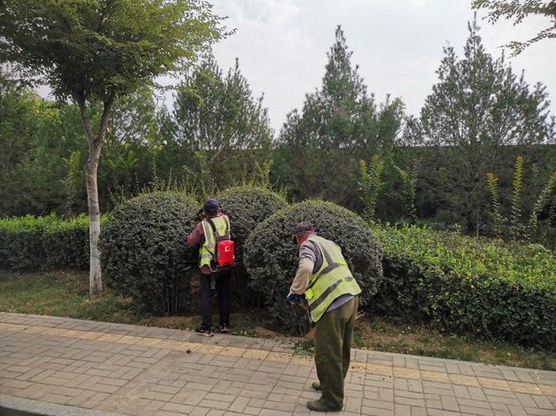 盐城园林绿化的美丽诗篇