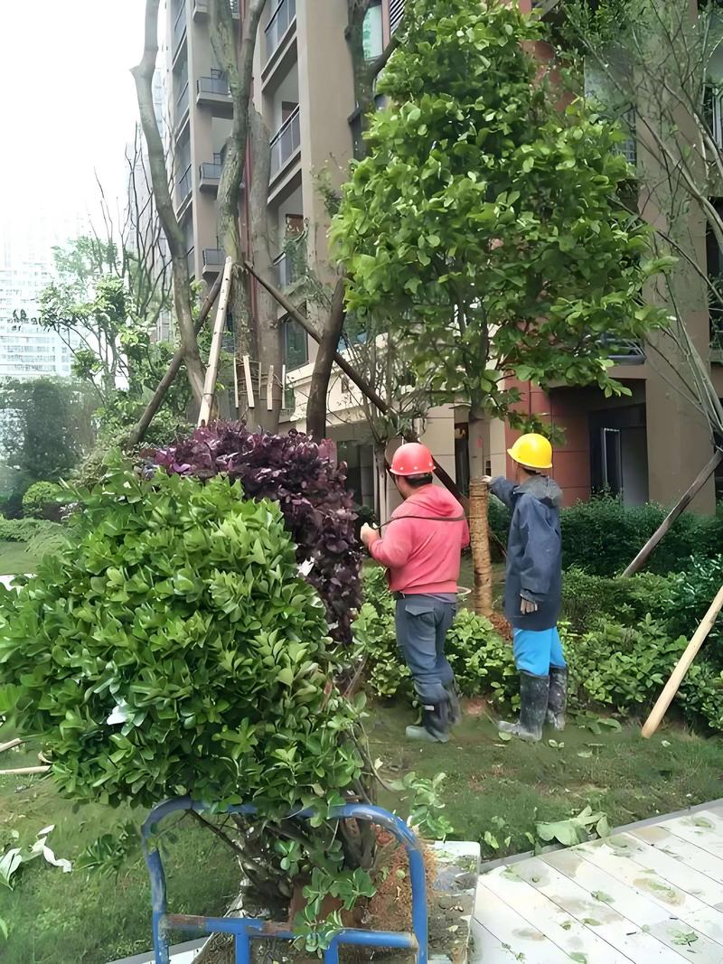 园林景观设计——打造城市绿肺的艺术