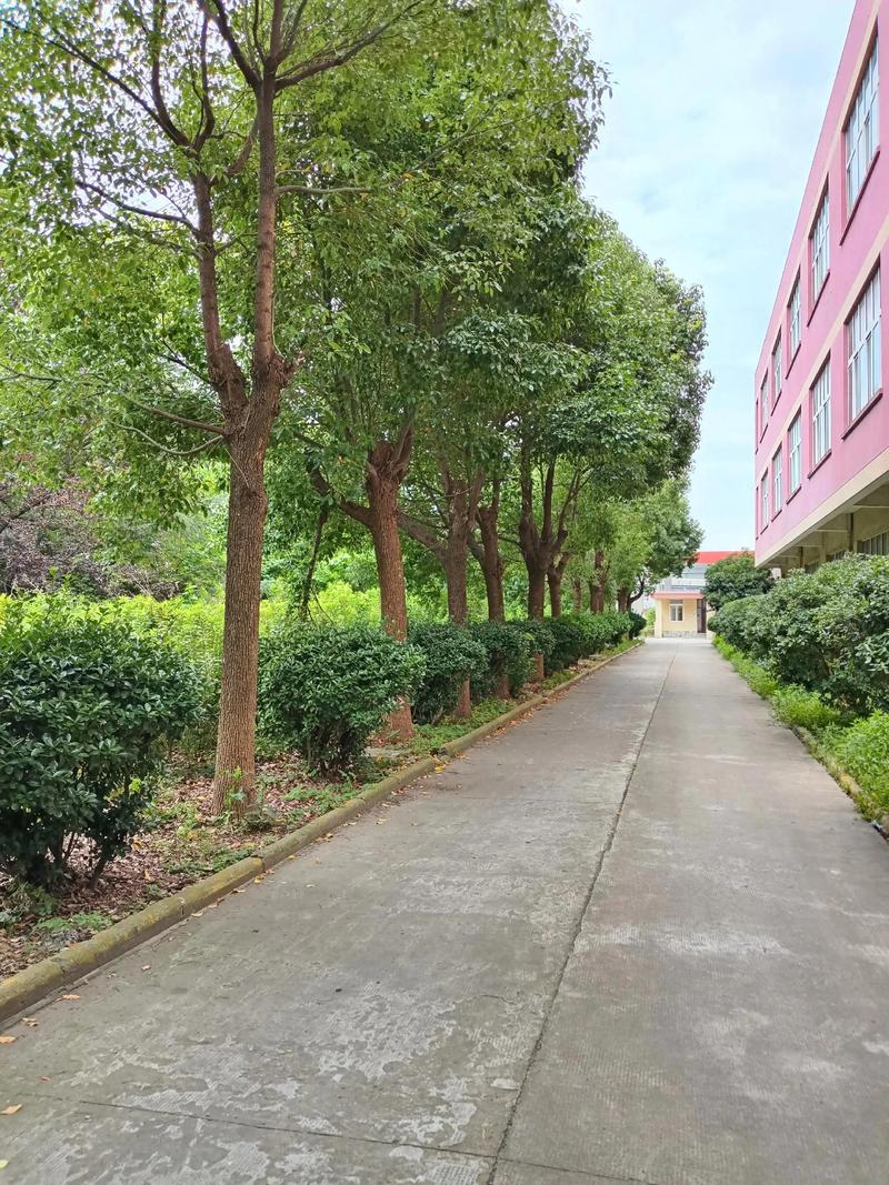 聚焦盐城园林绿化，共建生态宜居城市
